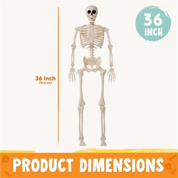 36" Halloween Skeleton Decor, 3FT Full Body Stayable Movable Joints - Picture 3 of 7